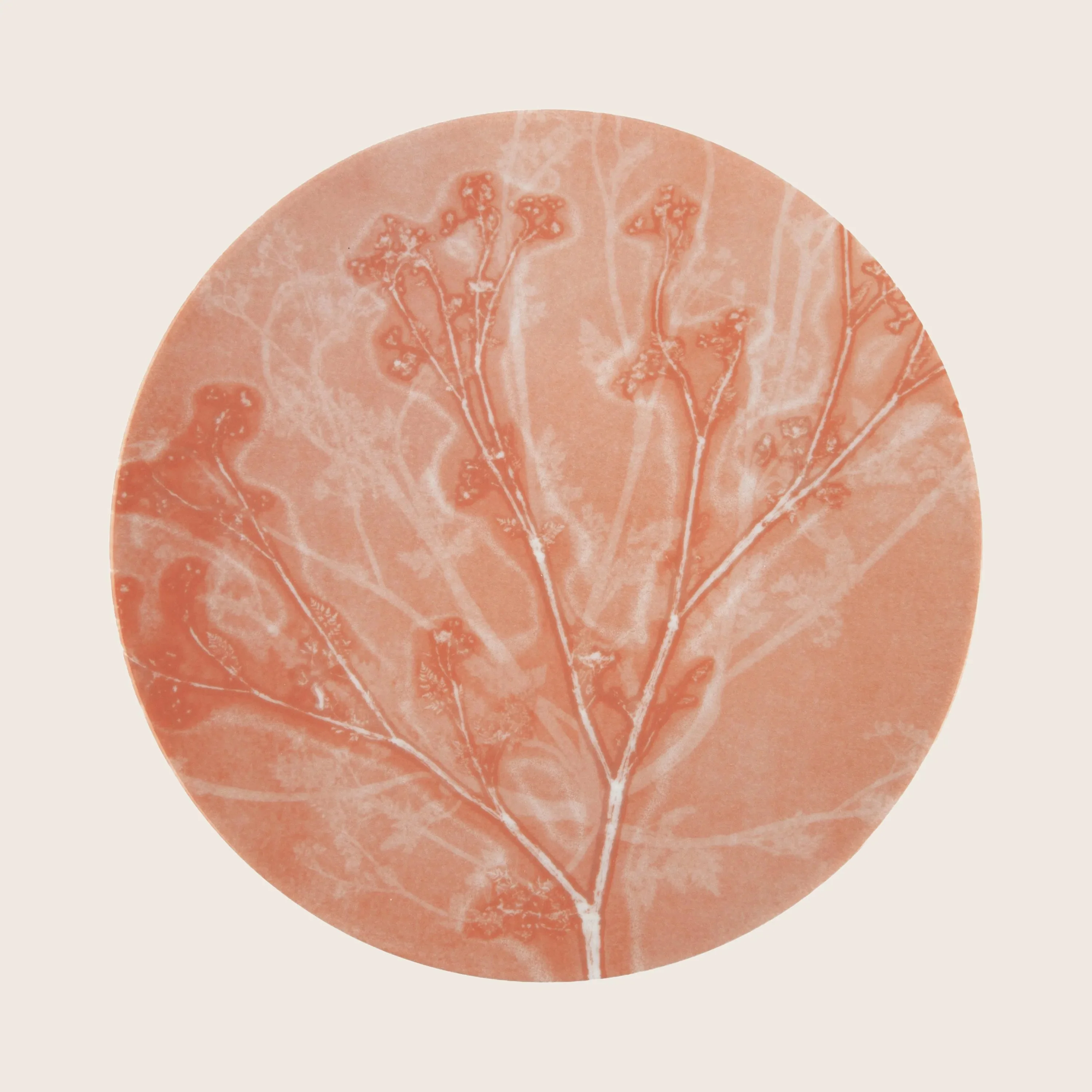 Botanique Presentation Plate - Image 4