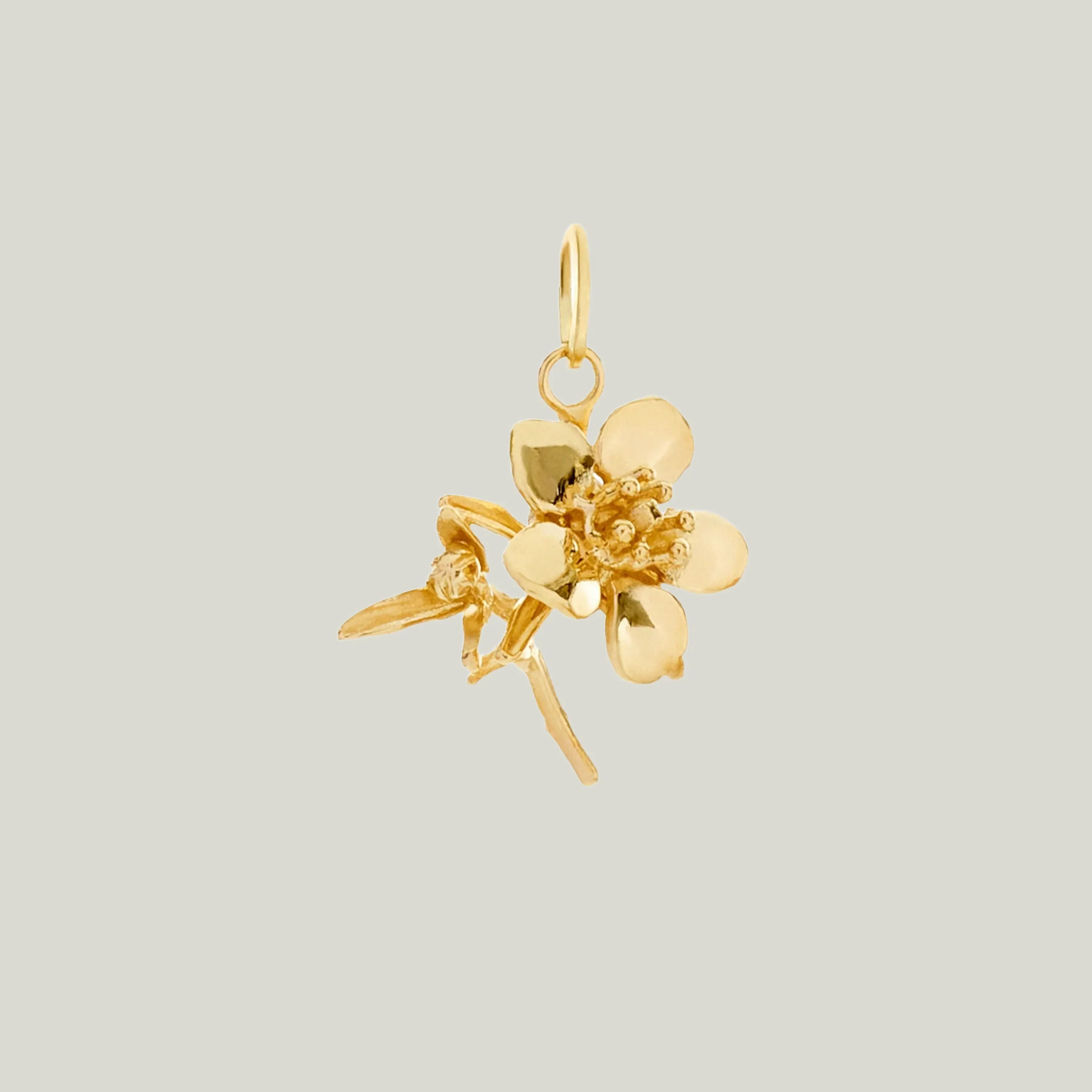 Auckland Mānuka Charm: City of Sea and Spirit
