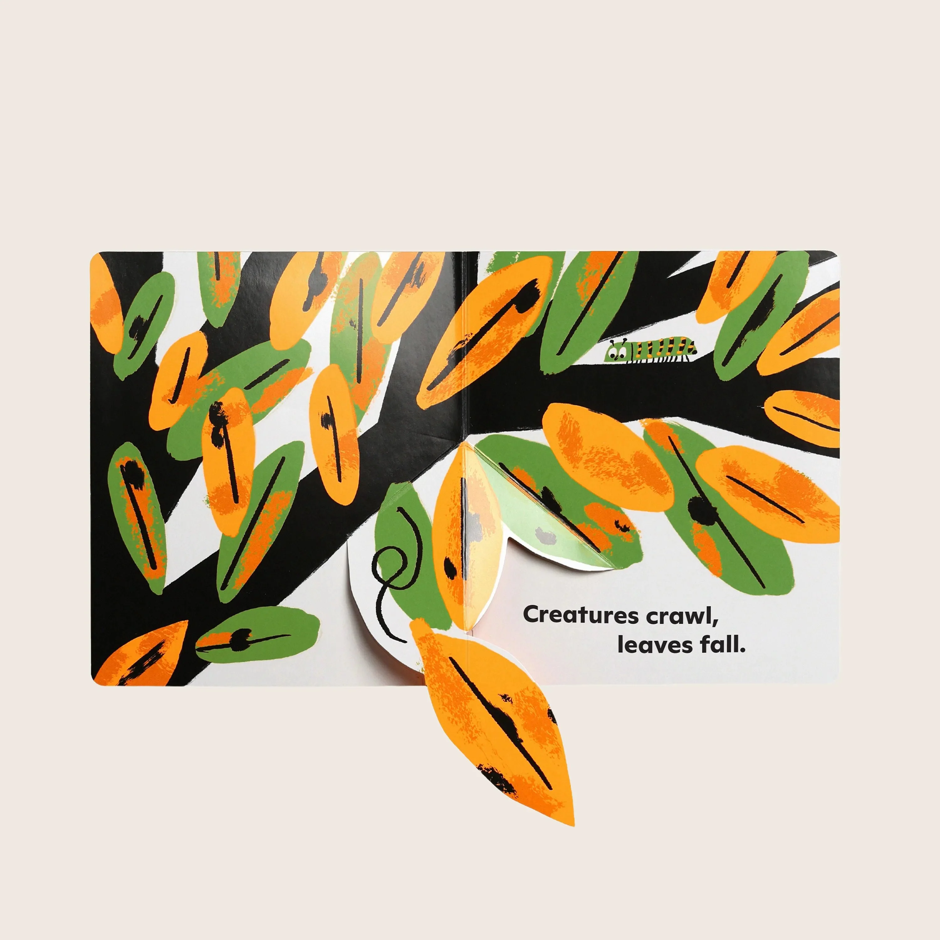 Autumn Pops Up! - Image 7