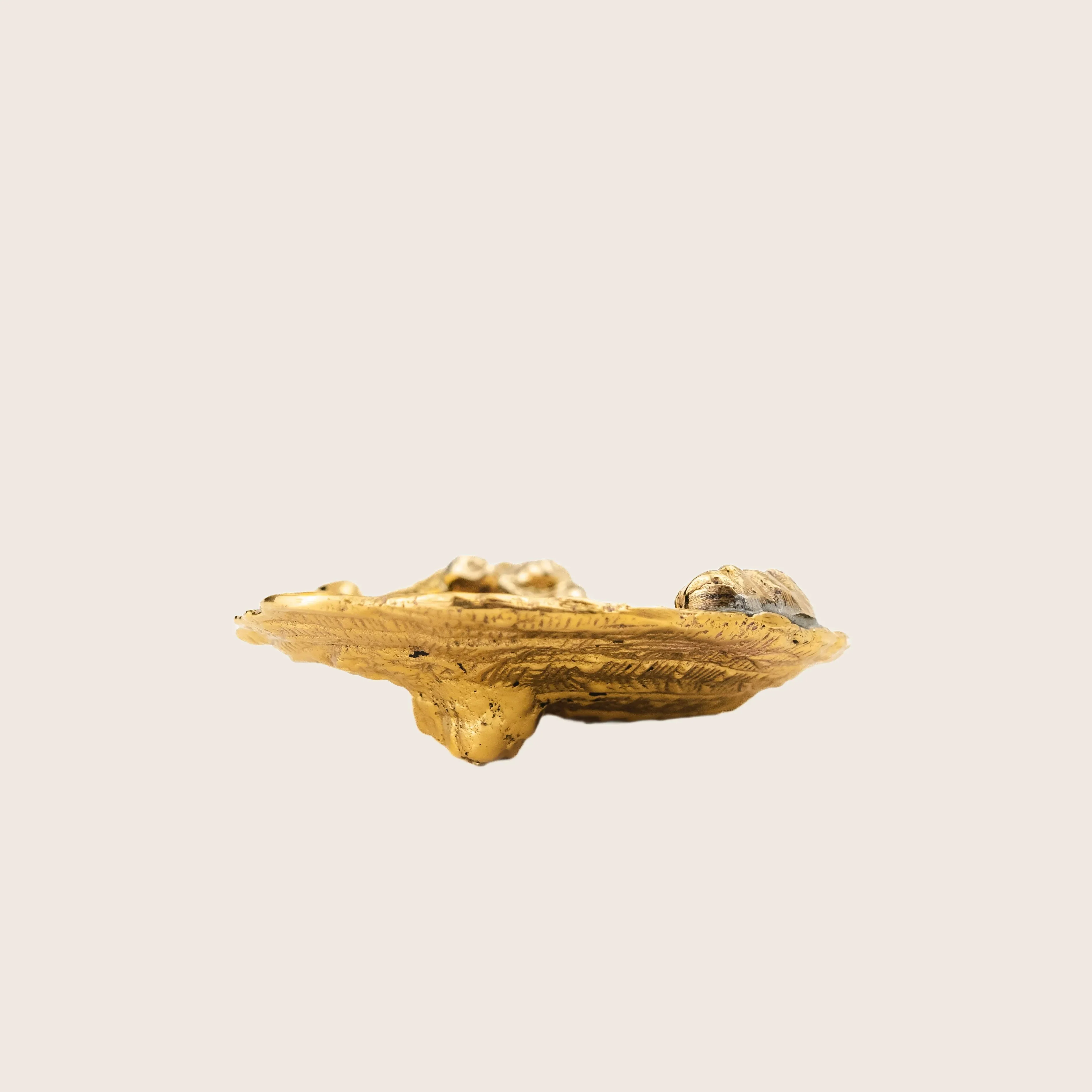 Barnacle Salt Dish - Image 3