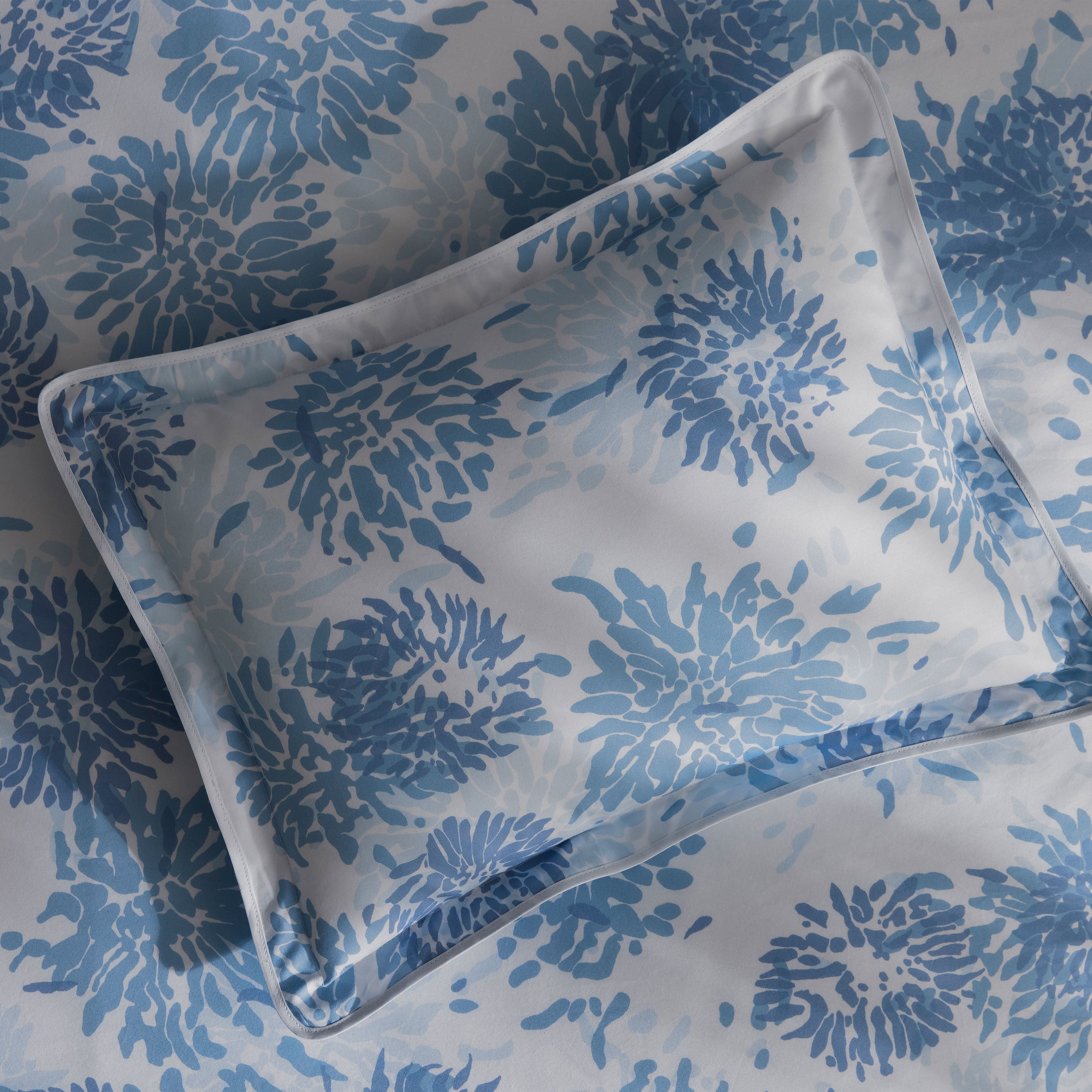 Chrysanthemum Sham - Image 16