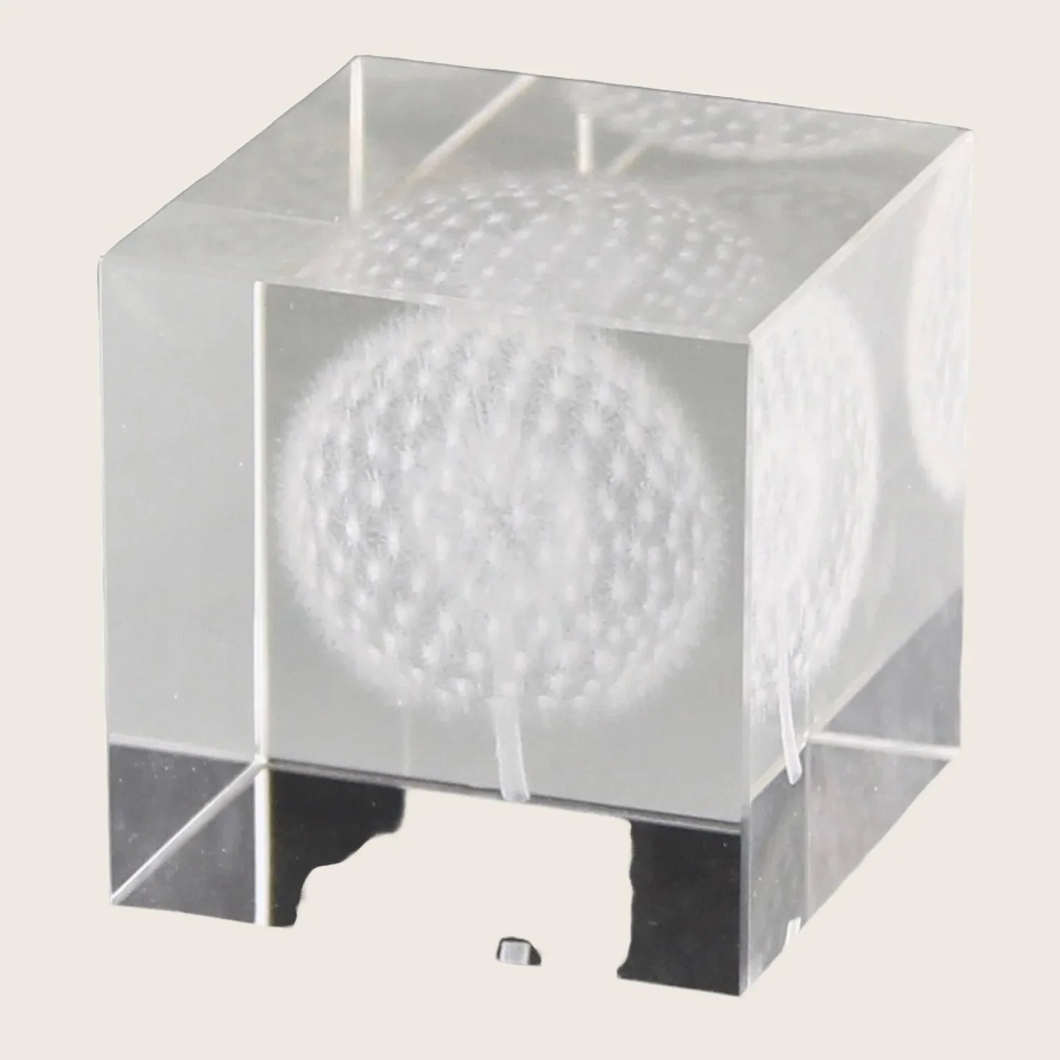 Dandelion Glass Hologram