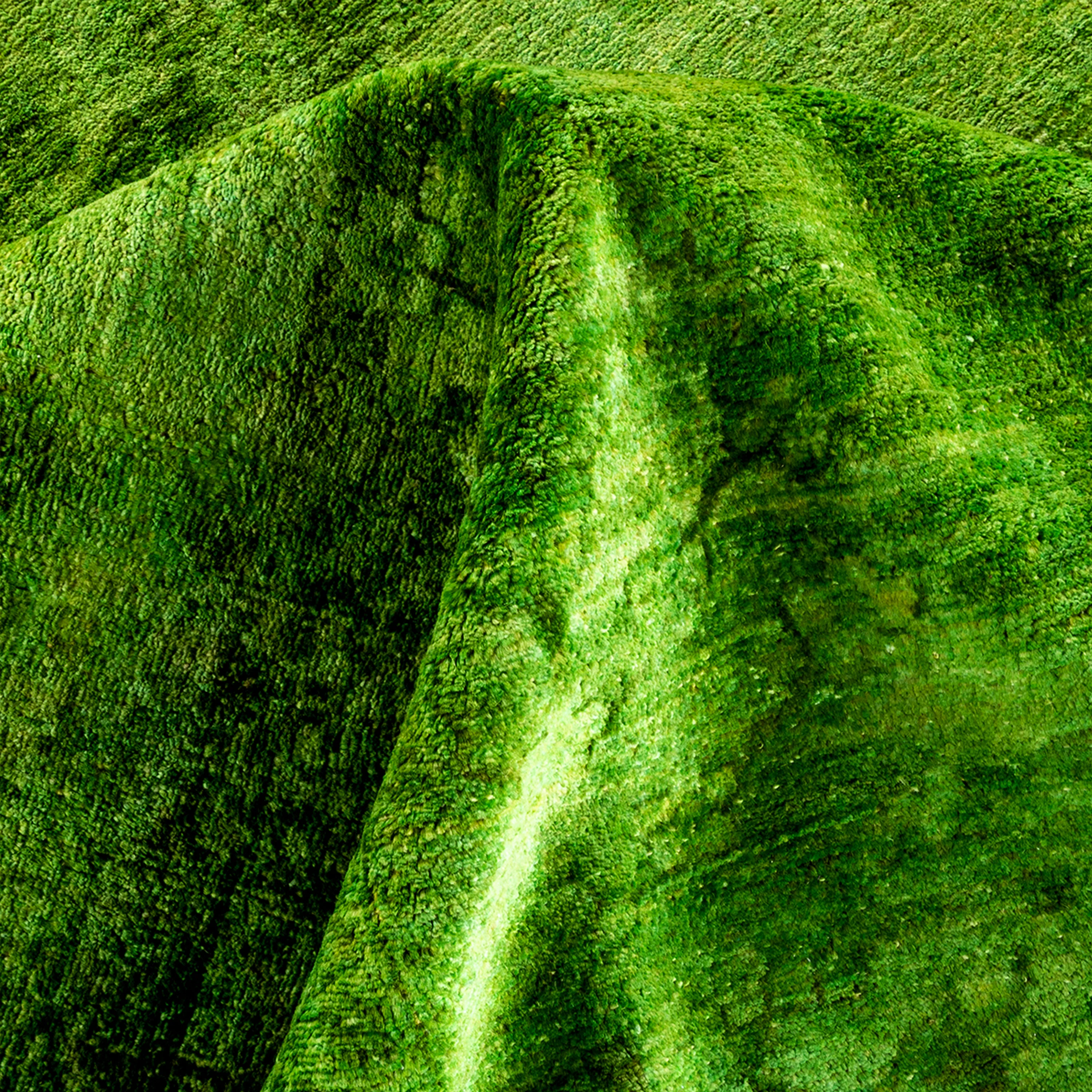 Green Samsara Wool Rug - 10' 2" x 13' 7" - Image 4