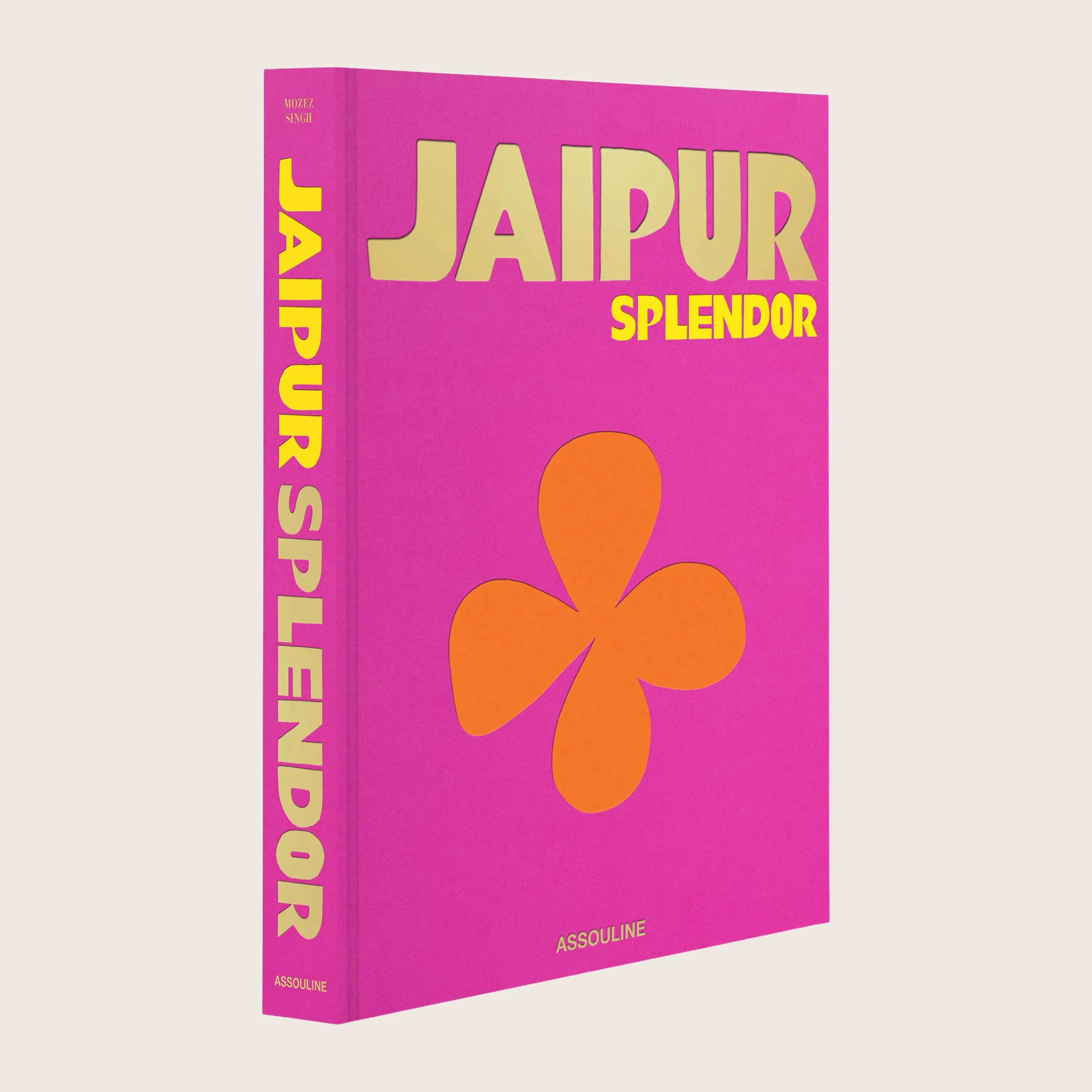 Jaipur Splendor - Image 12