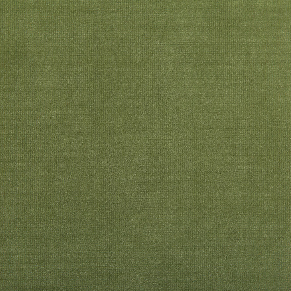 Leaf Velvet Performance Upholstery Fabric