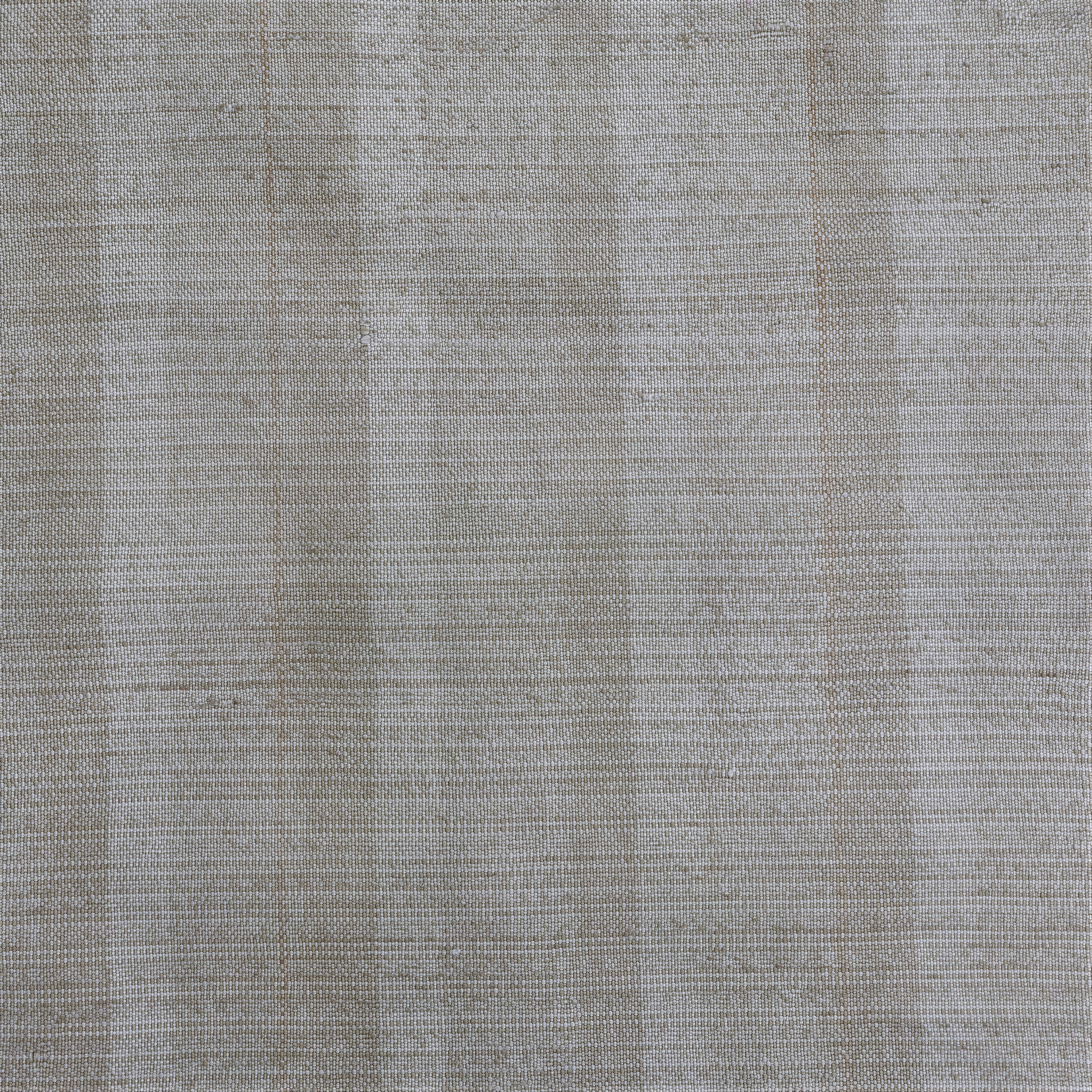 Light Brown Contemporary Silk Rug - 3'2" x 5'10" - Image 3
