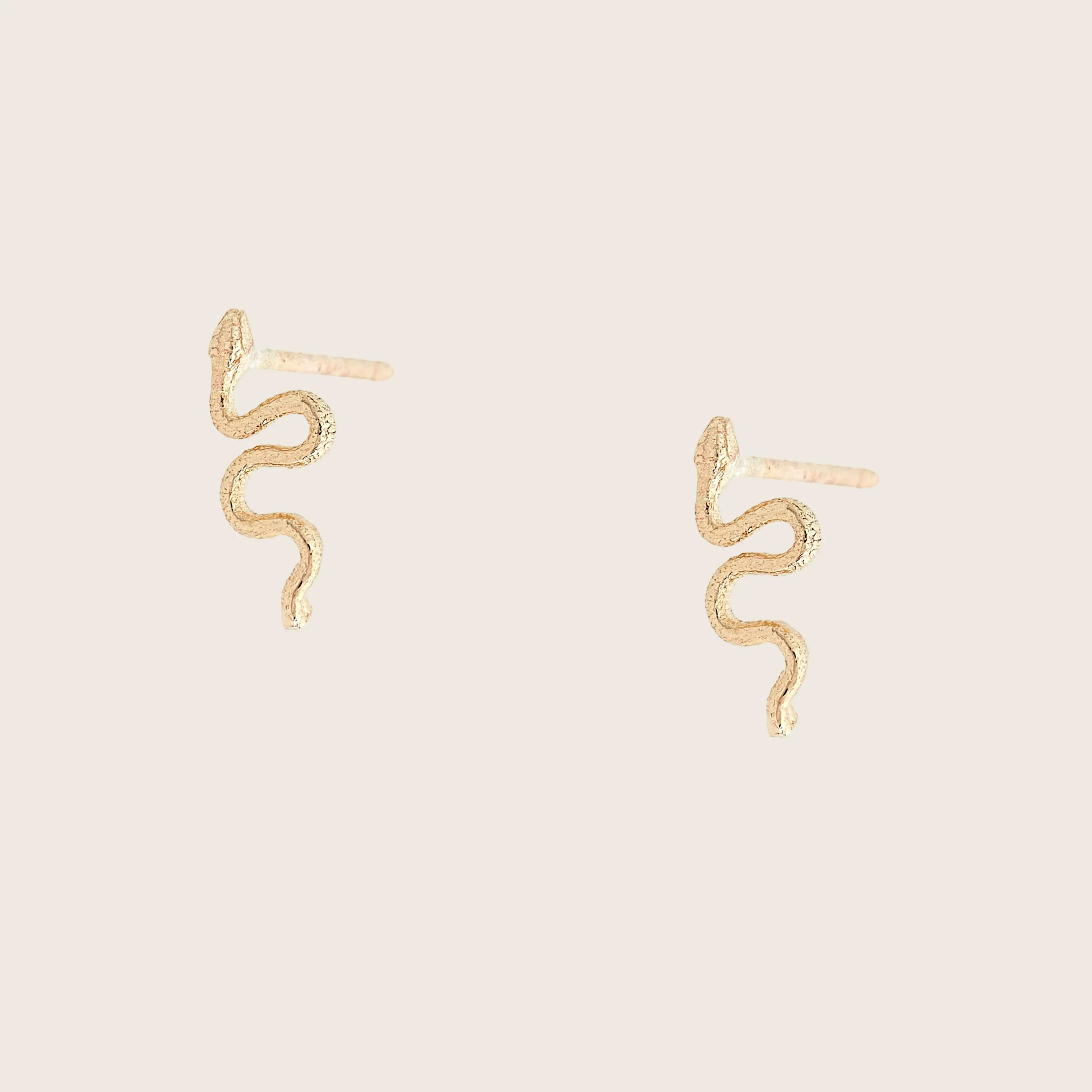 Pair of Itty Bitty Snake Earrings