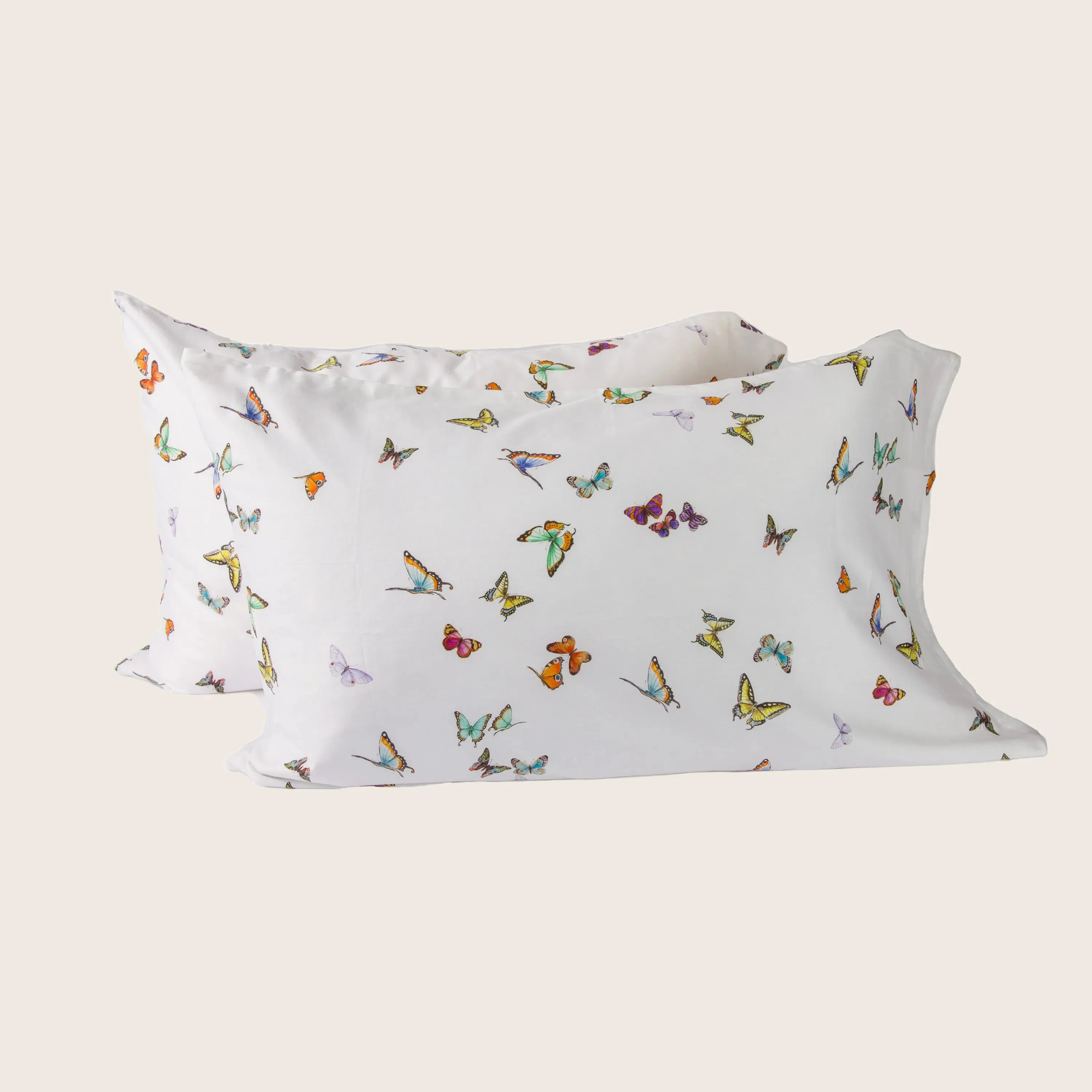Papillon Sham