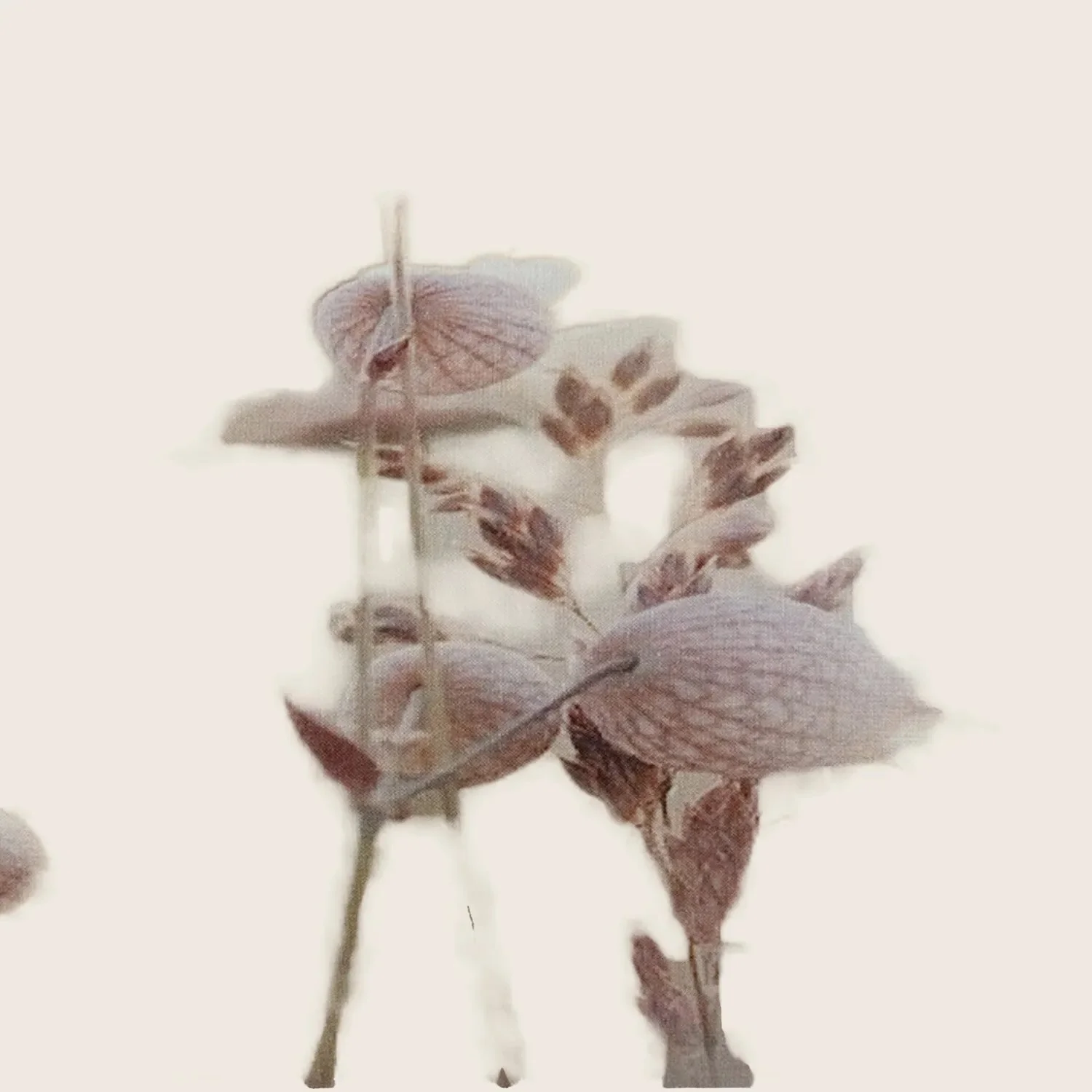 Petal Pillow Cheek to Cheek - Image 4