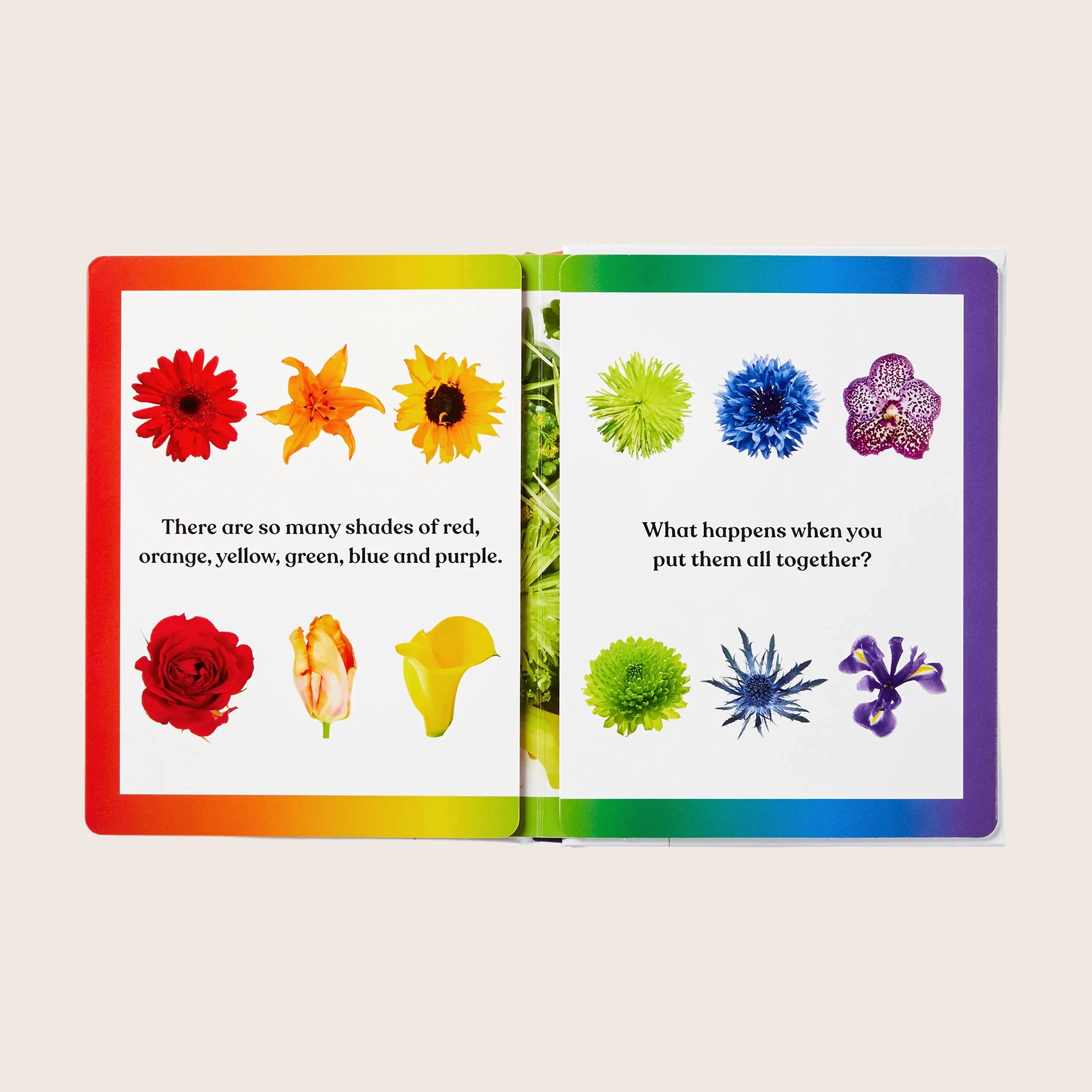 Rainbows in Bloom: Discovering Colors with Flowers - Image 2
