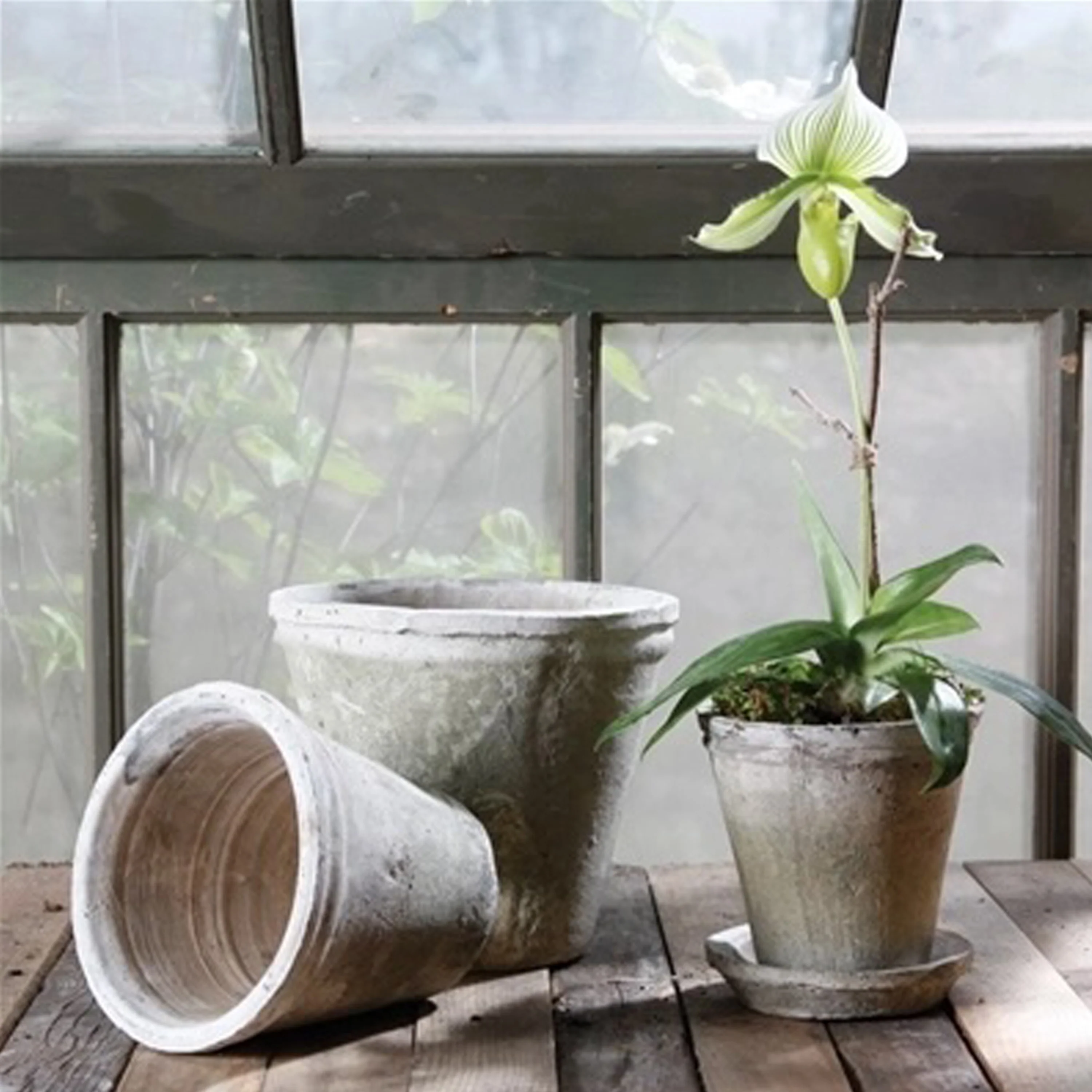 Rustic Terra Cotta Short Tomato Pot - Image 2