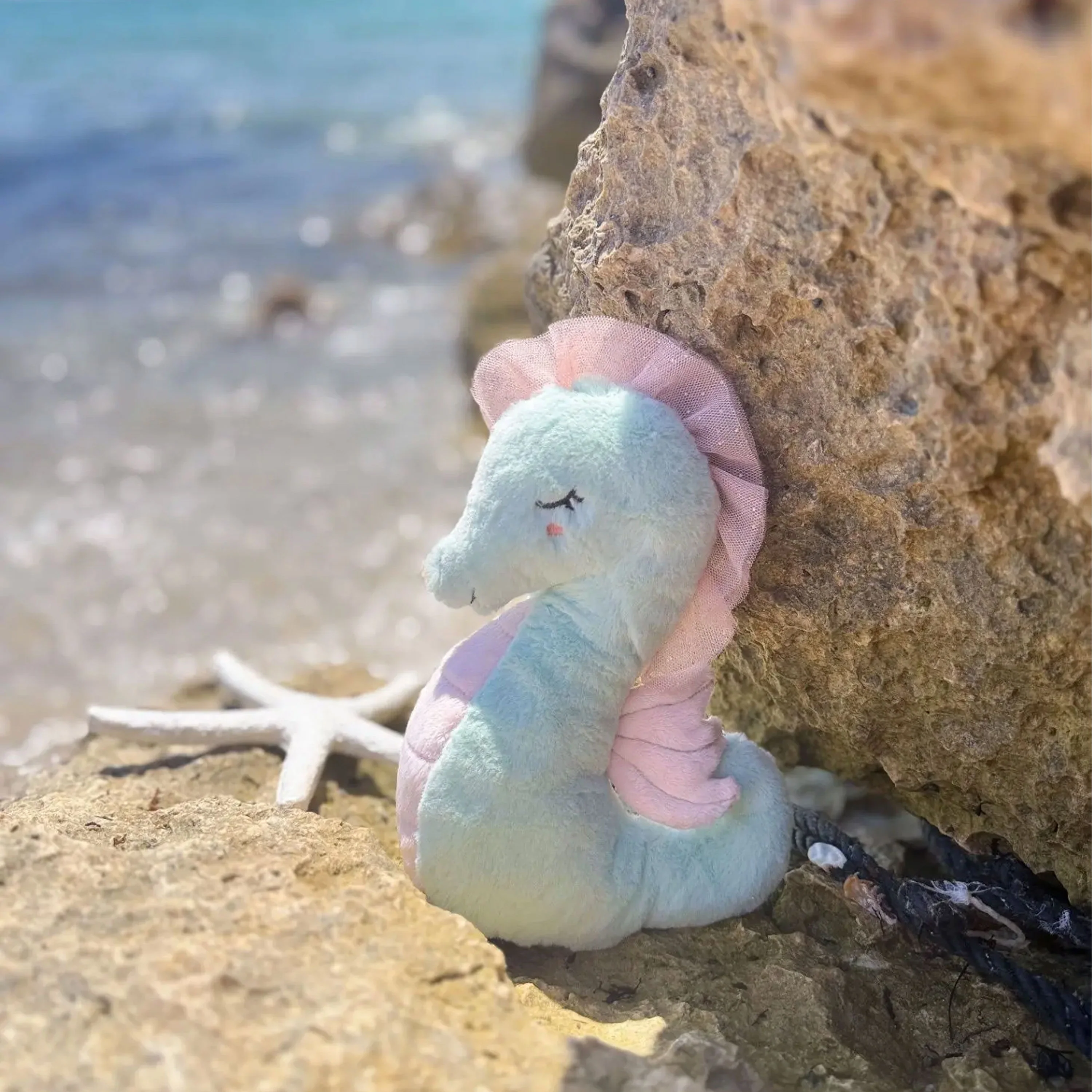 Shelley Seahorse - Image 2