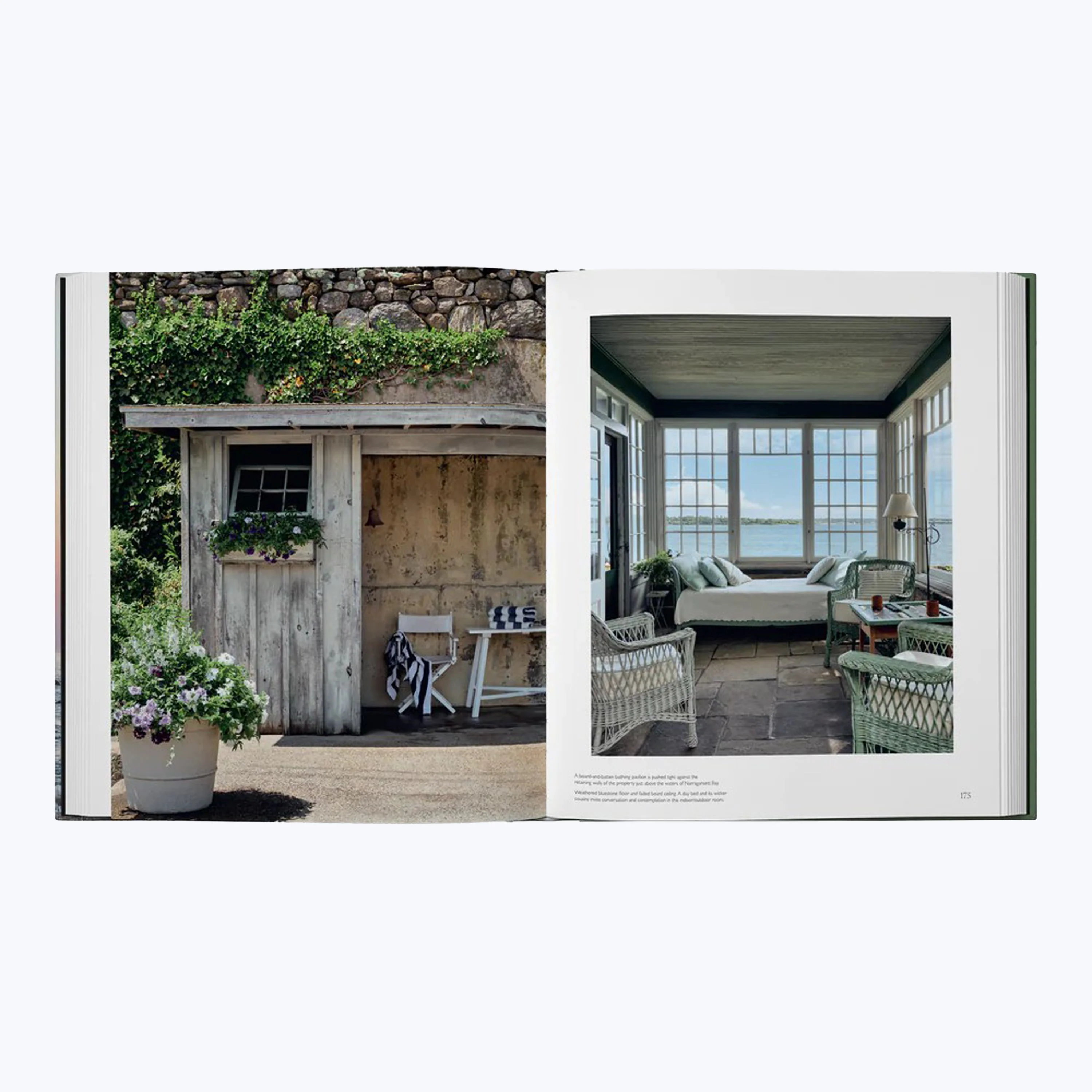 Summer by the Sea - Image 2