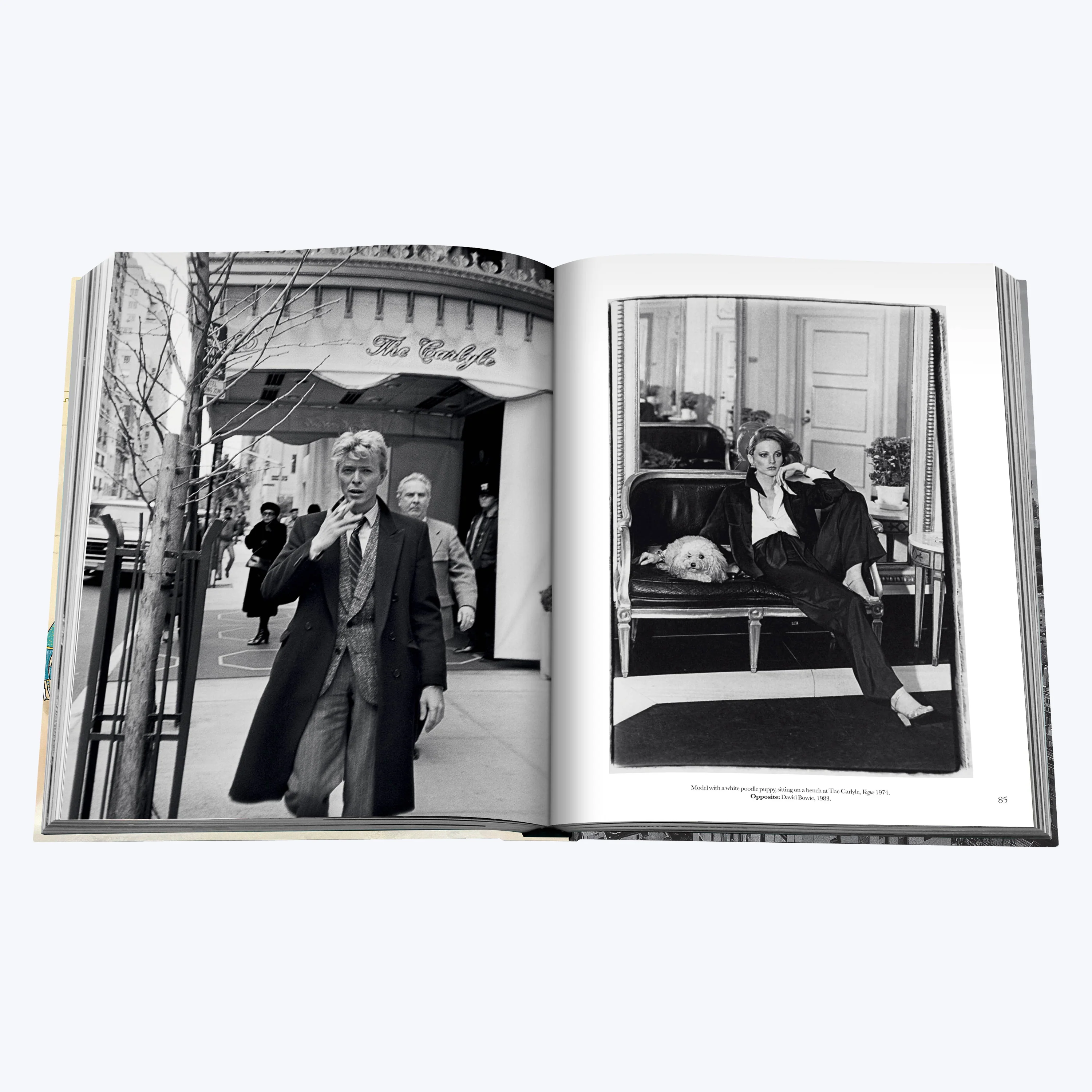 The Carlyle - Image 12