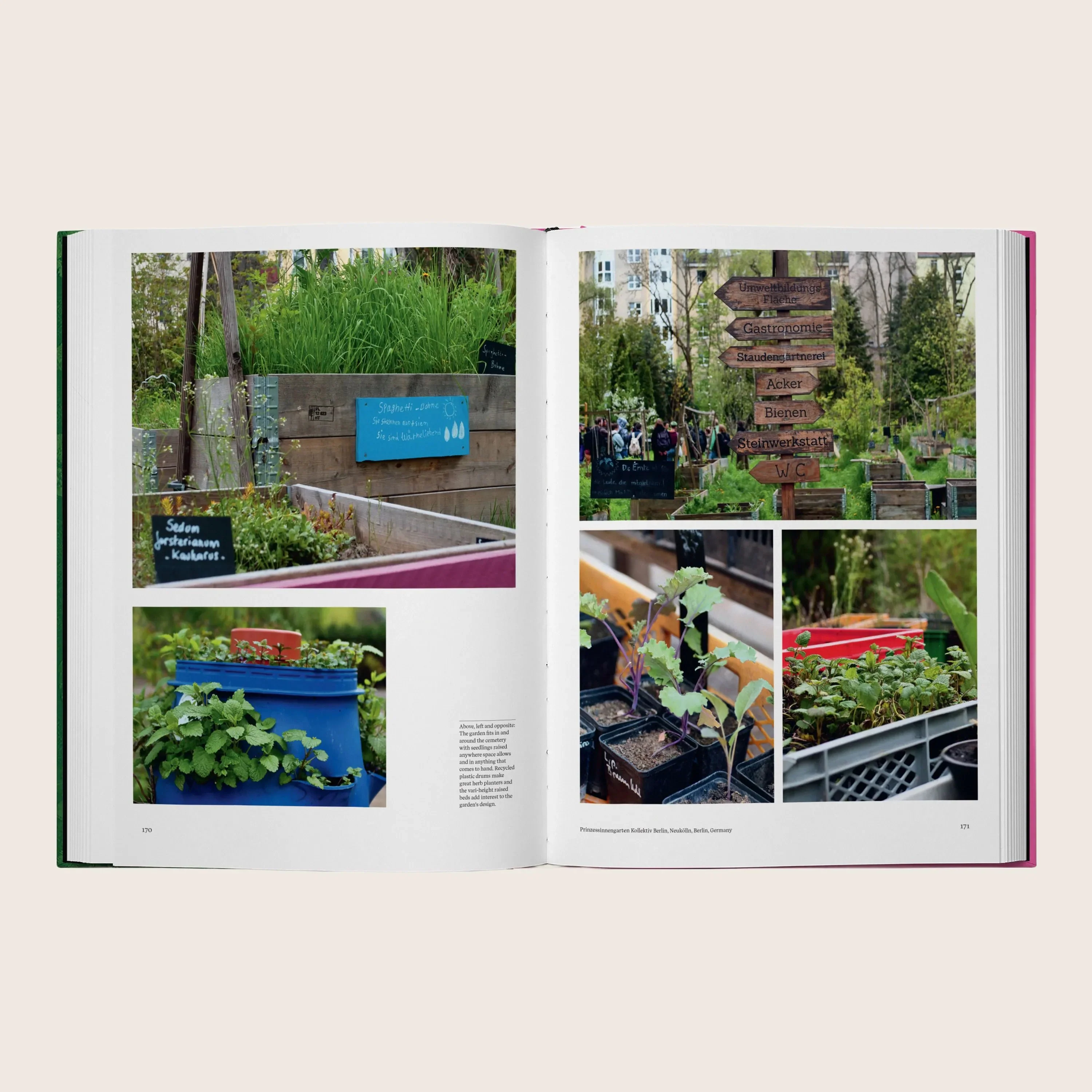 The Kitchen Garden - Image 5