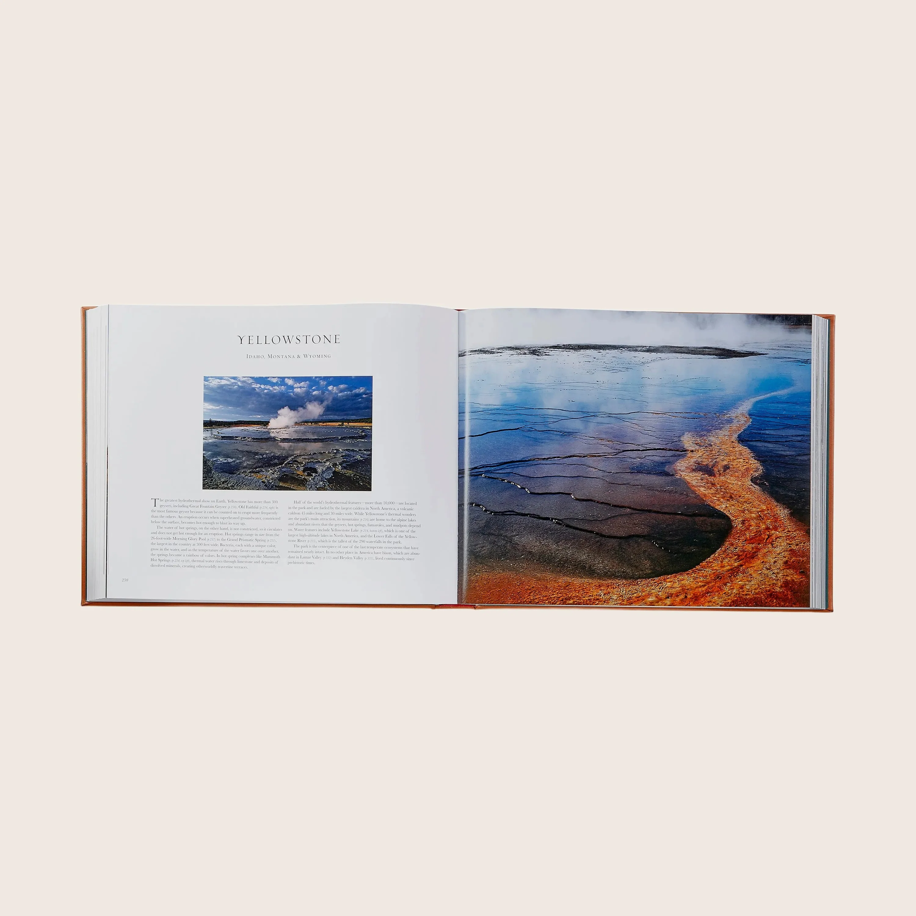 Treasured Lands Leather Bound Book - Image 13