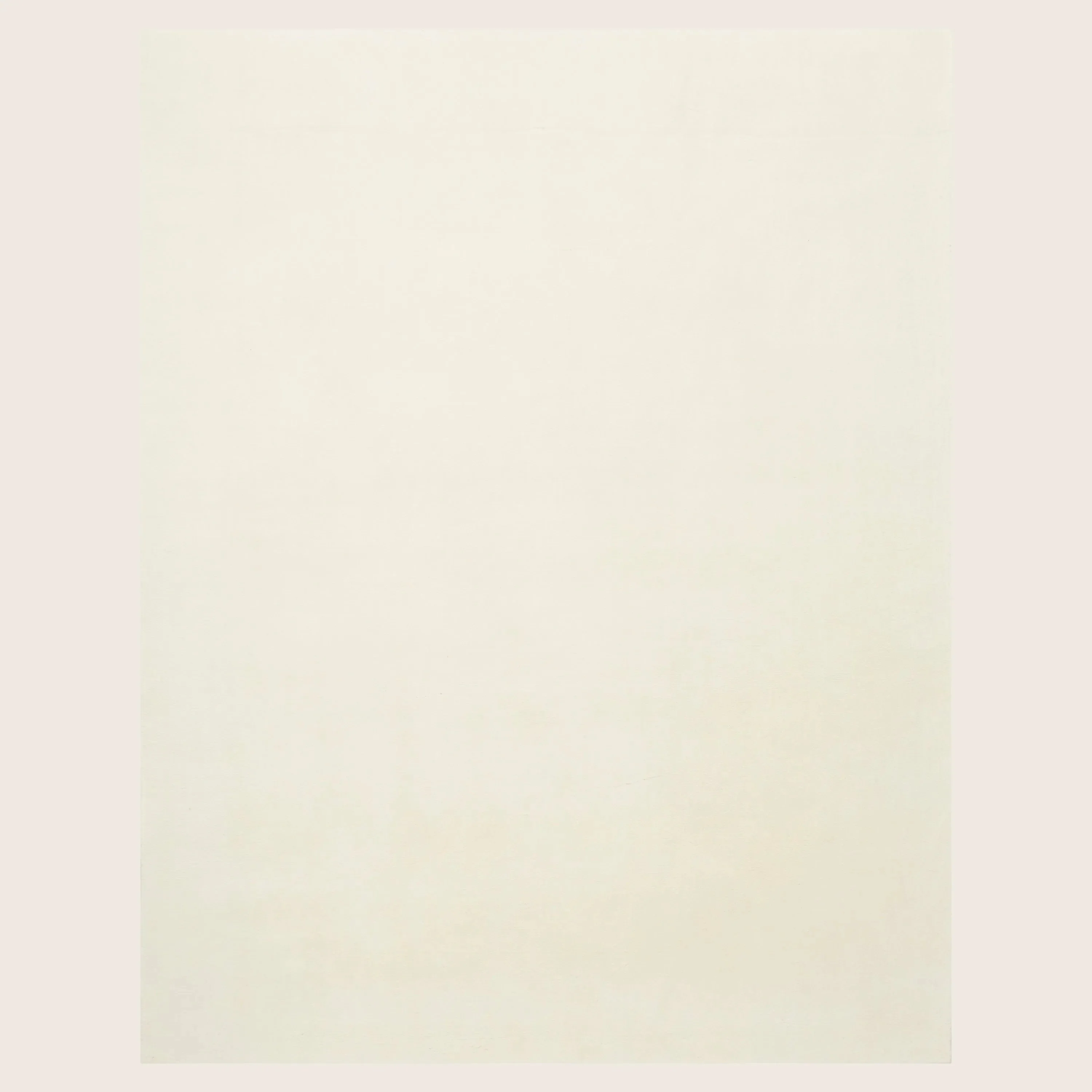 Solid Essentials Shag Cashmere Wool Blend Rug - Image 11